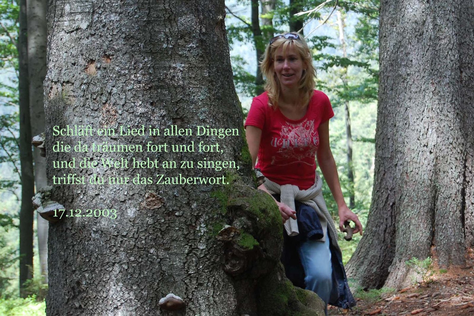 „Zauberwort“ – Ruth und die Romantik, Joseph von Eichendorff