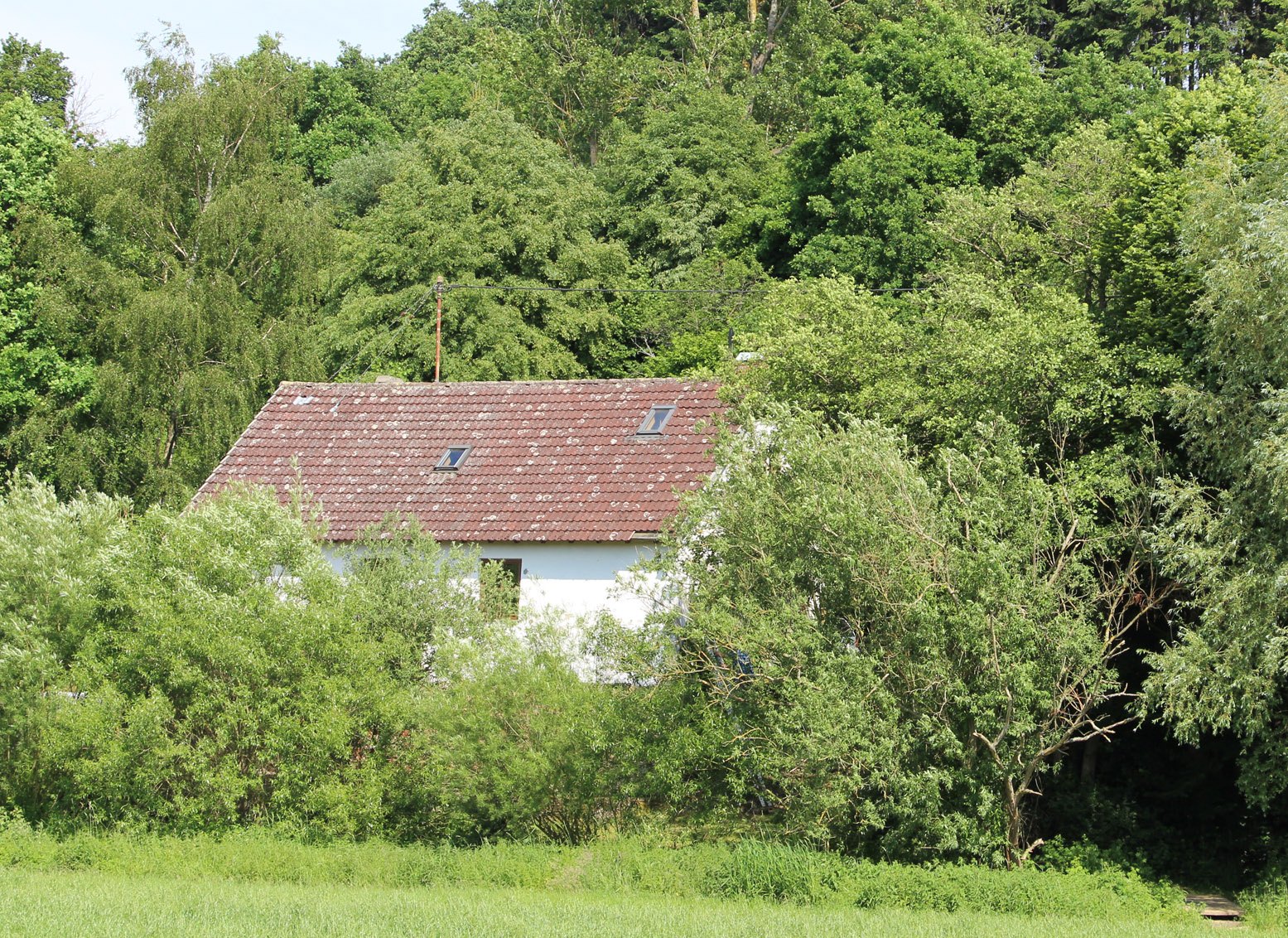 Die Alte Mühle in Ohlweiler