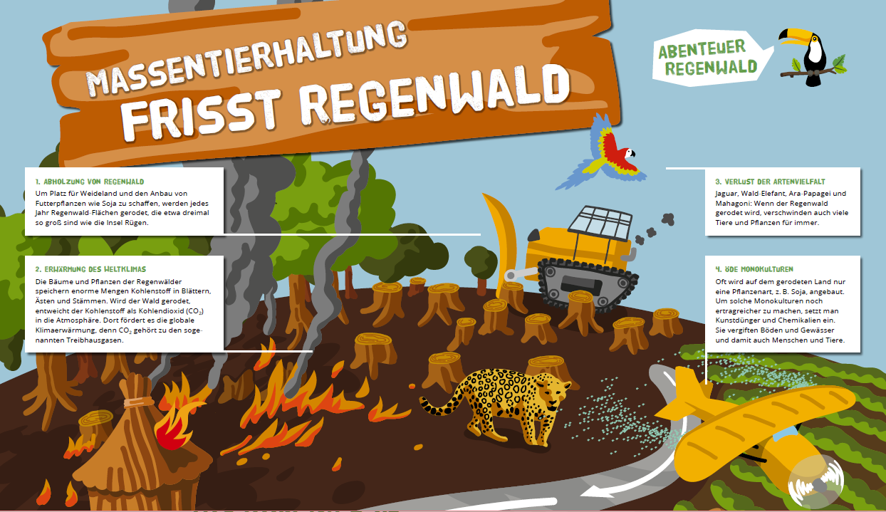 MassentierhaltungRegenwald